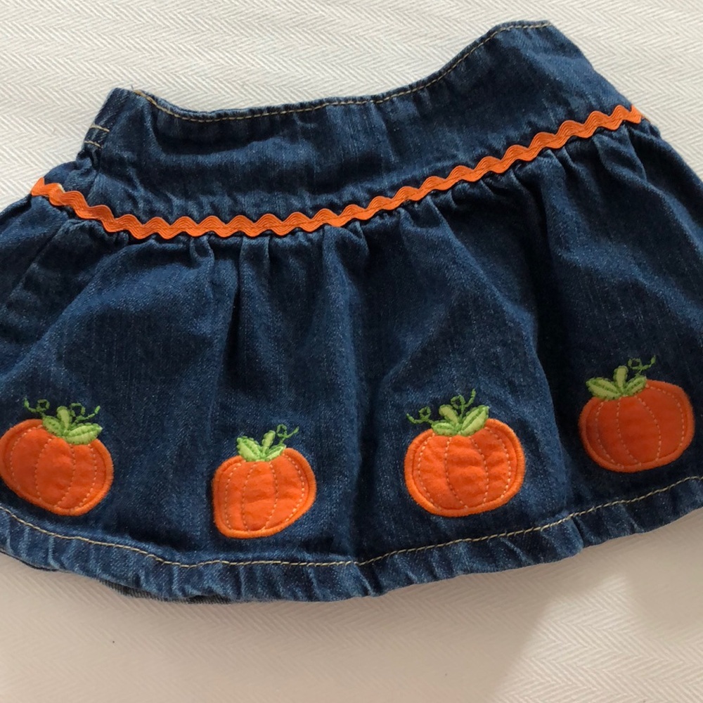 Gymboree Autumn Skirt